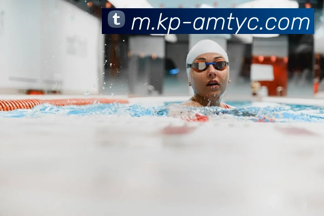 太阳城平台全站App